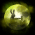 月の兎ロゴ