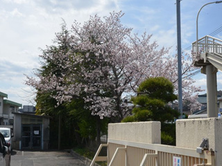 富山小学校(1)