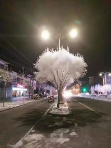 樹氷になった街中の樹木
