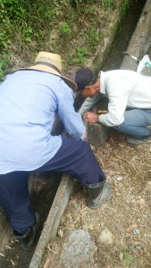 水路の補修を行っています