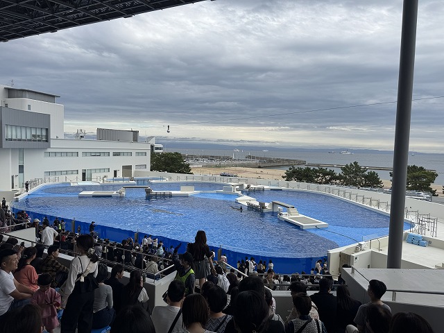 シャチのショー