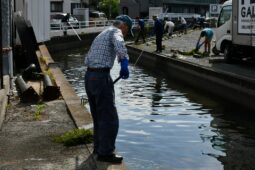藻引き清掃 お知らせ