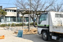 １号公園 藤の植替え