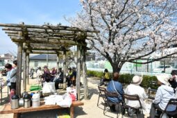 ほっとサロンみなん お花見