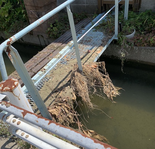 田広用水の橋に溜まったゴミ