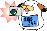 �ʐ^�R���e�X�g�ڍׂ͂����炩��