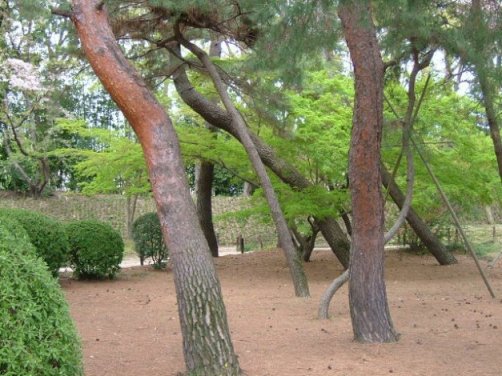 岡山後楽園植物図鑑