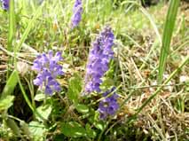 �^�c�i�~�\�E