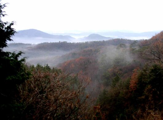 �Í��n��̉_�C