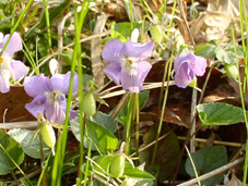 �i�K�o�m�^�`�c�{�X�~��