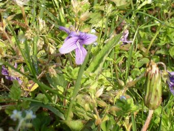 �m�W�X�~��