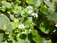 �c�{�X�~��