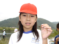 �R�m�V���g���{���������������