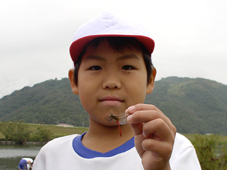 �}���^�e�A�J�l�����H�R�N