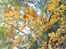 ���}�R�E�o�V