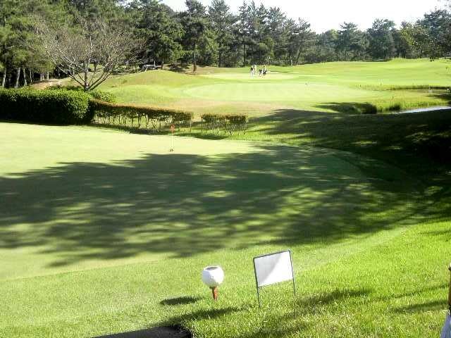 9番ロングの グリーンでは!