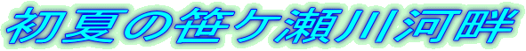 ���Ă̍��P����͔�