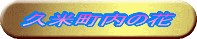 �v�Ē����̉�
