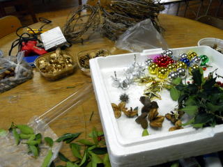 Dscn781 Jpg Dscn781 Jpg