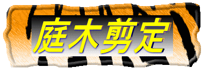 庭木剪定