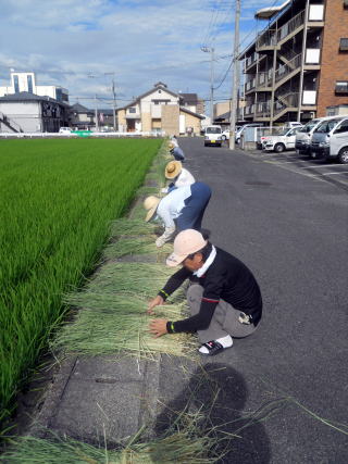 �m�̊���