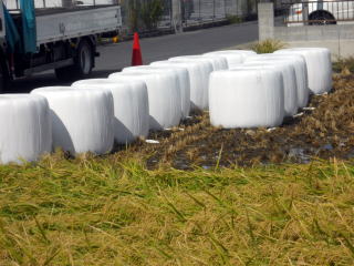 �m���w�C���[�W���郍�[���x�[��