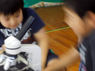 まだ小学校に行っていません