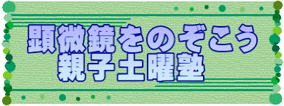 顕微鏡をのぞこう 　親子土曜塾