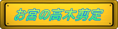 お宮の高木剪定