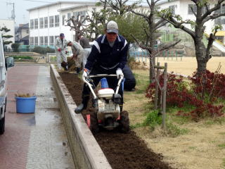 花壇の整備