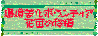 環境美化ボランティア 　　花苗の移植