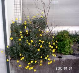 �����I�v�X�e�[�W�[���ҁA�X�ɑ���