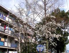 �R�u�V�i�h�΁E���Ԃ��j