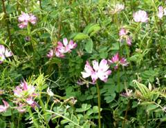 �����Q�\�E�i�@�ؑ��j