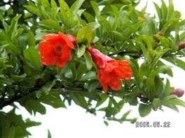 �U�N���i�ΞցE������j