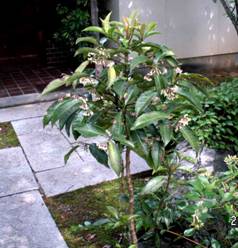 �}�������E�i�����j