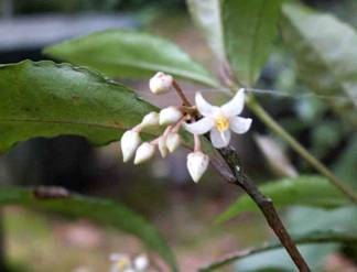 �}�������E�i�����j