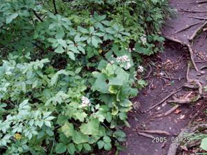 �I�I�J�j�R�E�����i��I�啁j