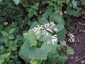 �I�I�J�j�R�E�����i��I�啁j