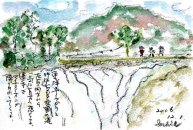 ������̑�