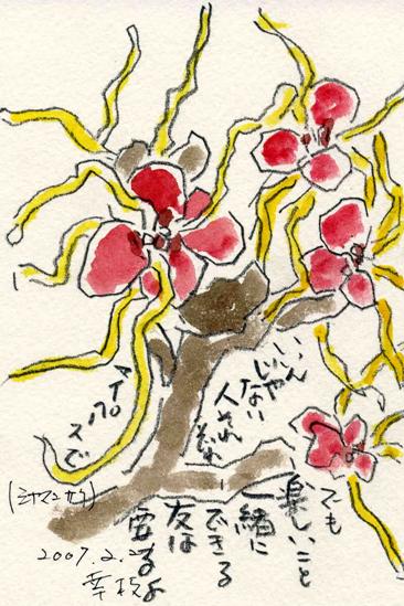 �G�莆�u�V�i�}���T�N�v