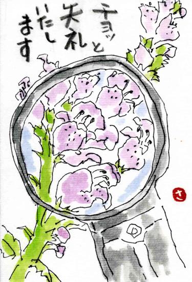 �G�莆�u�g���m�I�v