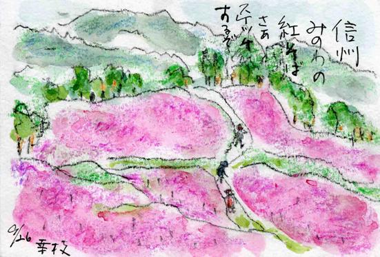 �G�莆�u�g���Δ��v