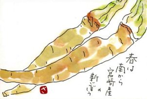 �{��̐V���ڂ�