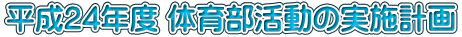 ����24�N�x �̈畔�����̎��{�v��