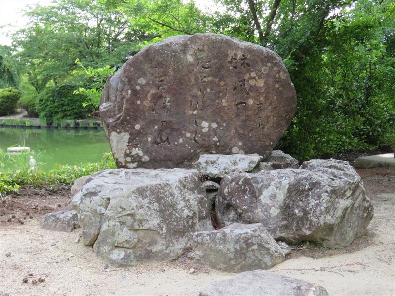 �ʐ^�F���䋎���̋��