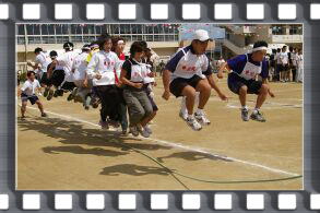 �W�����{�꒵��