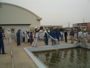 �o�P�c�����[