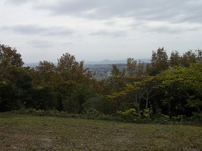 �⓹����]�ދg������