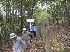 ��˂̎���̍�ɉ����ĕ����Q����